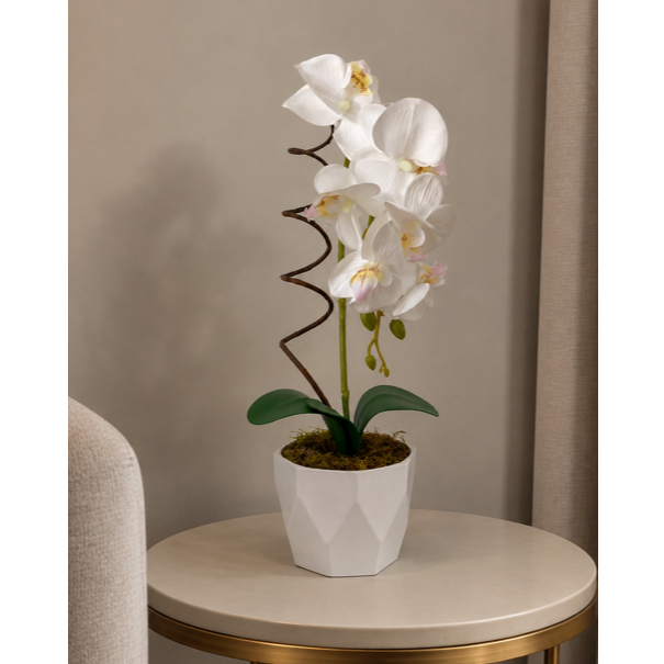 Arranjo de Orquídea com Rococó Silicone Realista 40cm Vaso Moderno