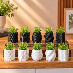 KIT 5 Mini Vasos Modernos COM PLANTA Decoração Casa Escritório 5cm Altura *PRODUTO NOVO*