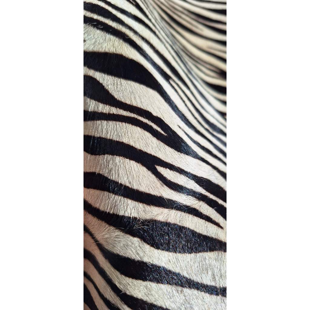 Retalho Couro Pêlo Zebra Branca e Preta - 1kg