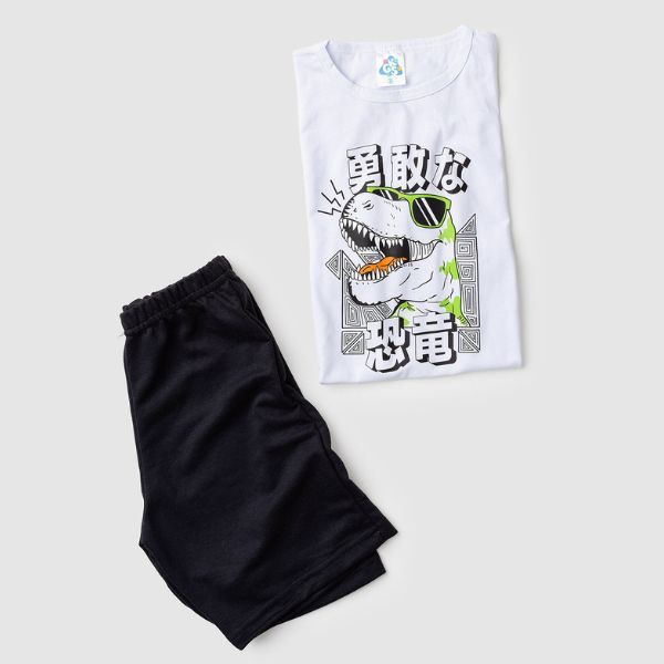 Conjunto Infantil Juvenil Verão Menino Masculino Camiseta Dinossauro Manga Curta 100% Algodão Bermuda Moletinho