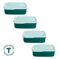 Kit com 4 Potes Herméticos Tupperware Basic Line com Divisória 550ml