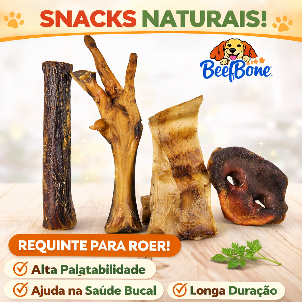 KIT SELEÇÃO NATURAL PREMIUM PARA CÃES – Mastigação Saudável e Entretenimento