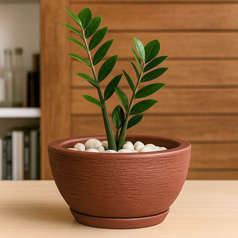 Vaso para Plantas Polietileno com Prato Bacia Texturizada – Uso Interno e Externo