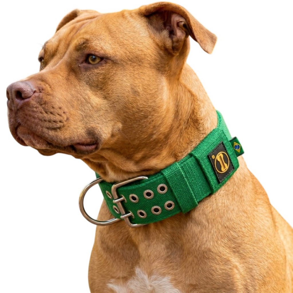 Coleira Verde P/ Cachorro Grande Porte Pitbull Rottweiler Cane Corso Dobermann Amorosso Dog Cão Cães