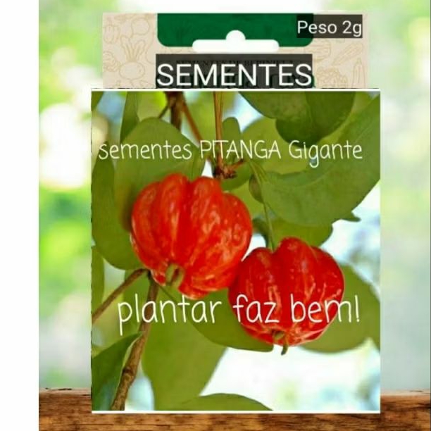 SEMENTES PITANGA GIGANTE  fruta plante vaso horta terra adubo  Jardim OFERTA