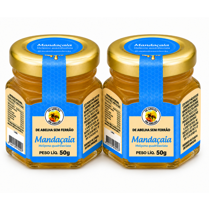 Mel Mandaçaia 50g Ouro Líquido 2un De Abelha Em Abelha