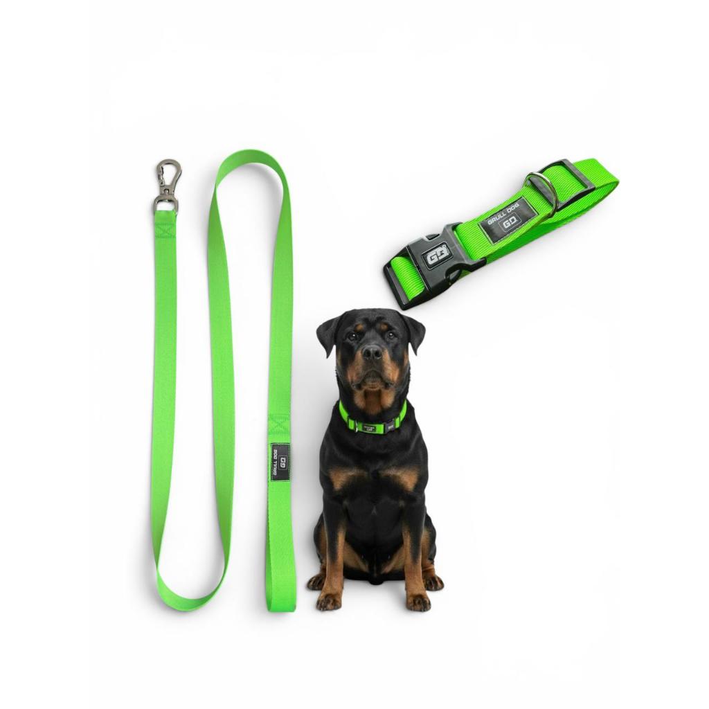 kit coleira ajustavel + guia reforçada para cachorro acessórios premium maior durabilidade segurança