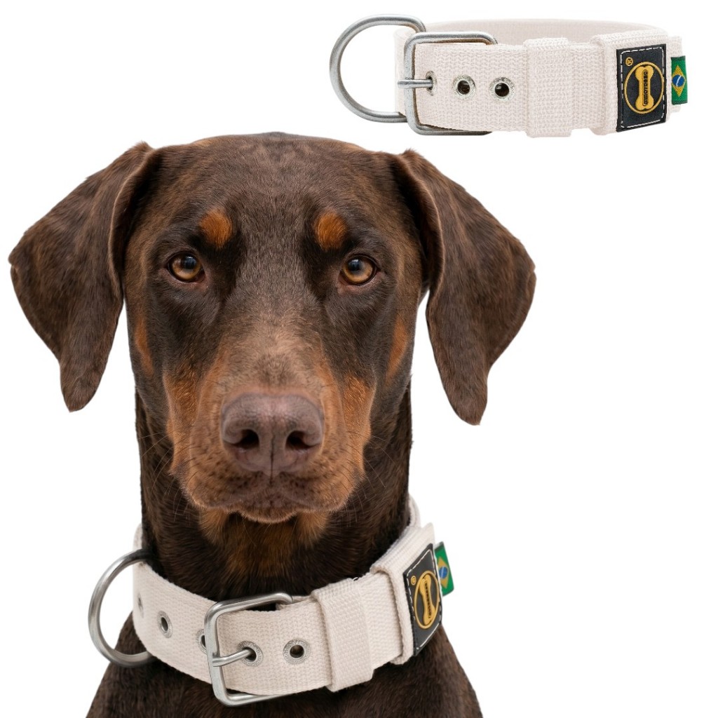 Coleira Branco Fit Cachorro Amorosso Pitbull Labrador Cane Corso Dobermann Pet Grande 1 pina de Aço