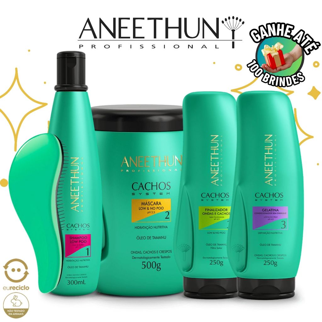 Kit Aneethun Cachos System Shampoo Máscara Finalizador Gelatina Low e No Poo Aneethun Profissional