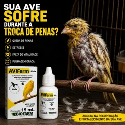 AVIFarm Muda Vitamina Para Pássaros Aves Ornamentais Troca De Penas Vitalidade 15mL Biofarm