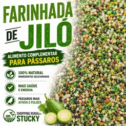 Vitamina Jiló Com Mix De Sementes Para Pássaros | Suplemento Natural – Canário Pintassilgo Coleiro Trinca Ferro Curió