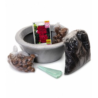 Kit Plantio Bacia + Substrato + Argila + Manta + Acabamento + Semente