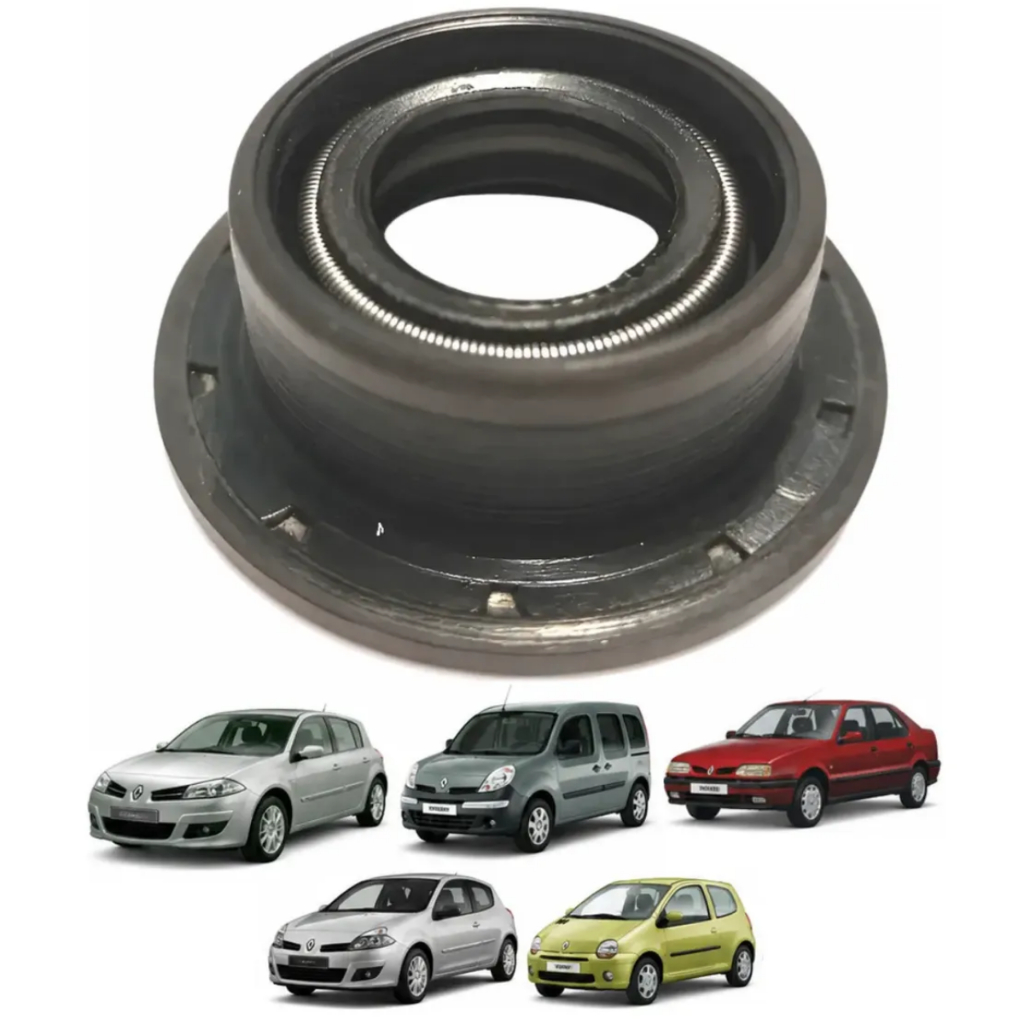 Retentor Haste Do Trambulador Clio Kangoo Megane Twingo R19