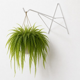 Gancho Suporte de Parede 30cm para Samambaia Vaso e Plantas Pendentes em Ferro Jardim Varanda Quintal Decoracao Area Int