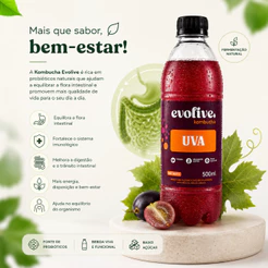 Evolive Bebida Fermentada Probiótica Kombucha