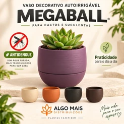 Vaso Decorativo Autoirrigável MEGABALL para Cactos e Suculentas - Antidengue