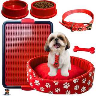 Kit Para Pet Coleira De Pescoço Sanitário Caminha Para Cachorro Pequeno