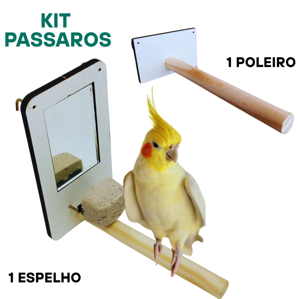 Espelho com poleiro para calopsita  Brinquedo aves com pedra de cálcio  Acessório gaiola de pássaros