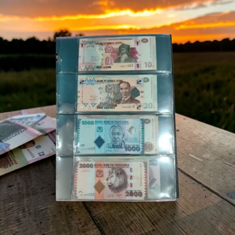 Coleção 100 Cédulas Estrangeiras Diferentes Flor De Estampa (FE) + Pasta Álbum Organizada - Numismática Lote