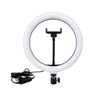 Ring Ligth Anel De Luz  Led Para Celular Câmera Tripé 8 10 12 Polegadas--sem-tripe