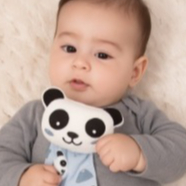 Naninha Ursinho  Panda de Pelúcia com Paninho de Boca e Porta-Chupeta  Toque Suave Roupa de bebel