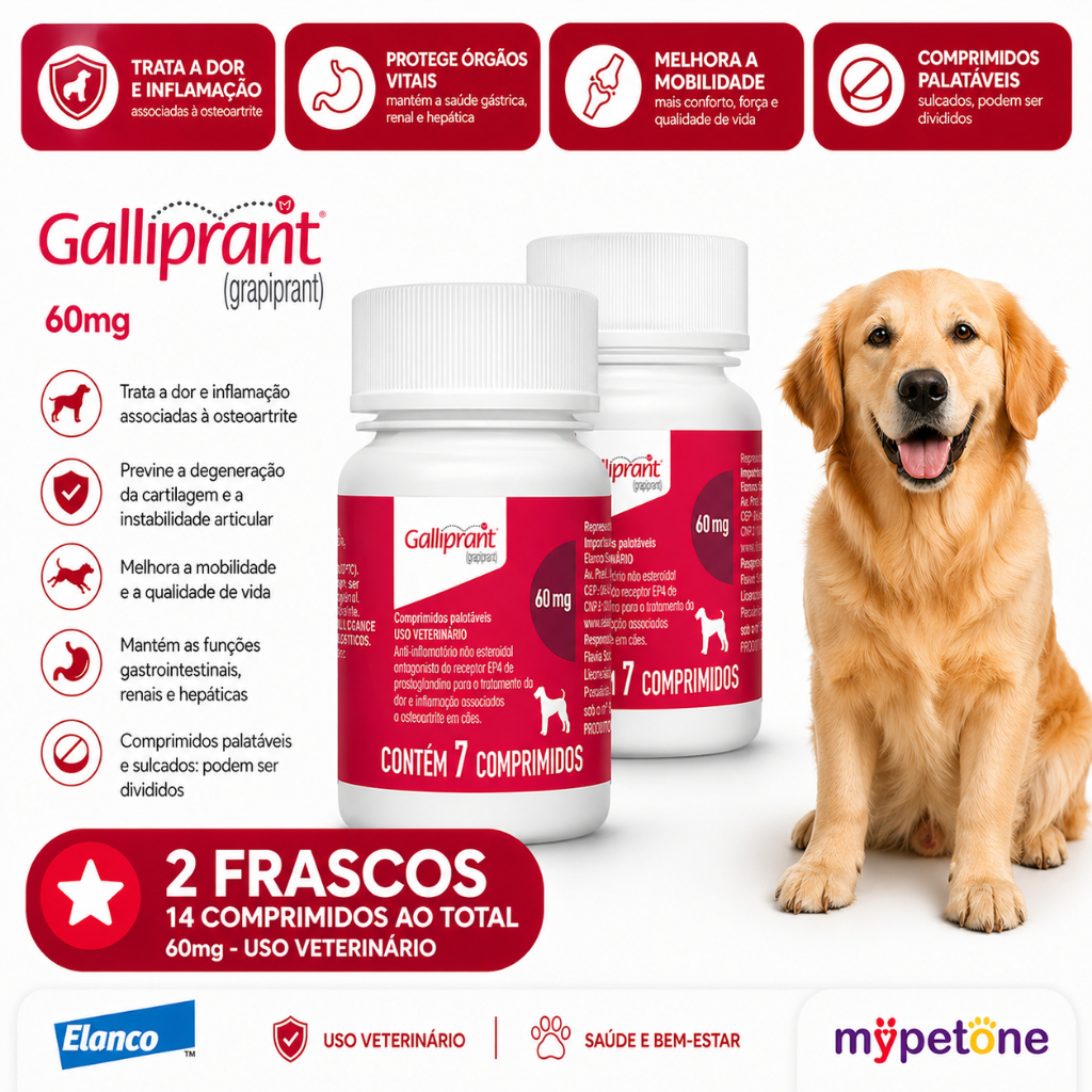Kit 2 Galliprant 60mg Elanco para Cães - 7 Comprimidos