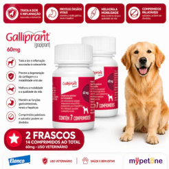 Kit 2 Galliprant 60mg Elanco para Cães - 7 Comprimidos