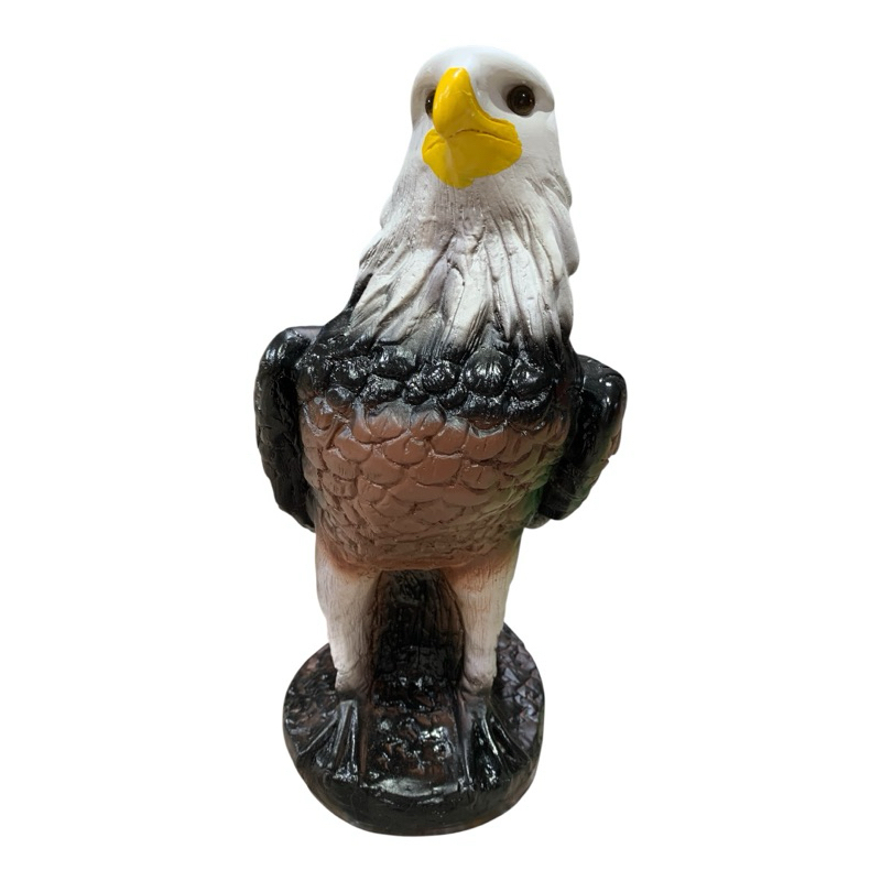 Gavião espanta pombo e passarinhos