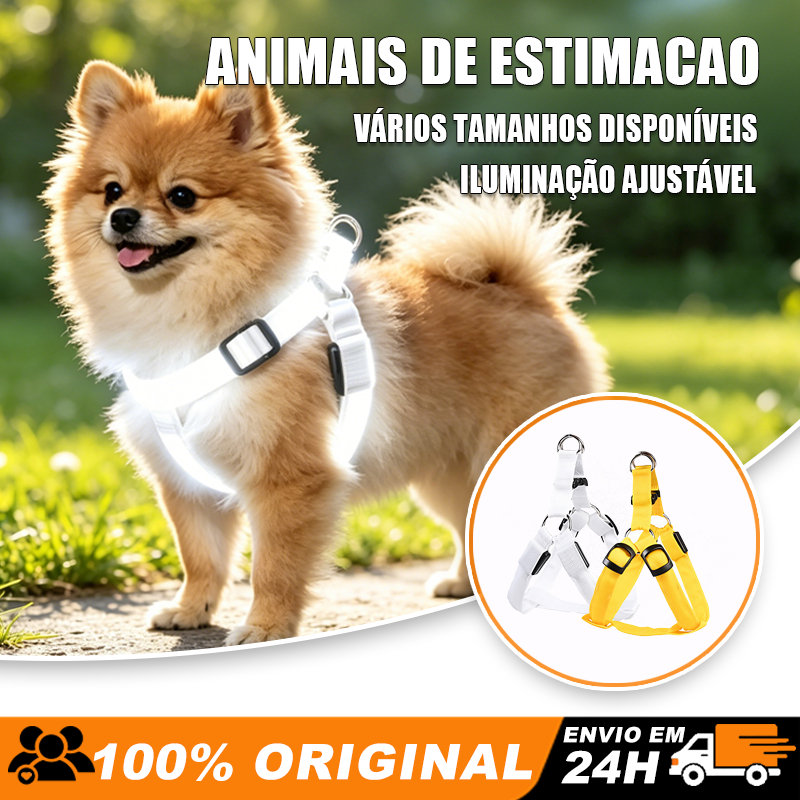Coleira Peitoral LED para Cães Pequenos e Médios Arnês Iluminado Ajustável Brilhante Pisca Pisca