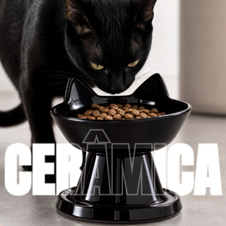 Comedouro Bebedouro Elevado Gato Cerâmica Esmaltado Ergonômico Saudável Anti Engasgo Pet Gato Antiformiga Prático Fácil