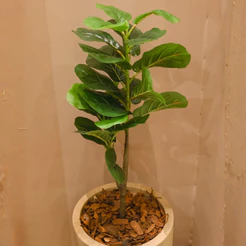 Ficus Umbelata Artificial 95cm Planta Decorativa Realista para Vasos e Ambientes