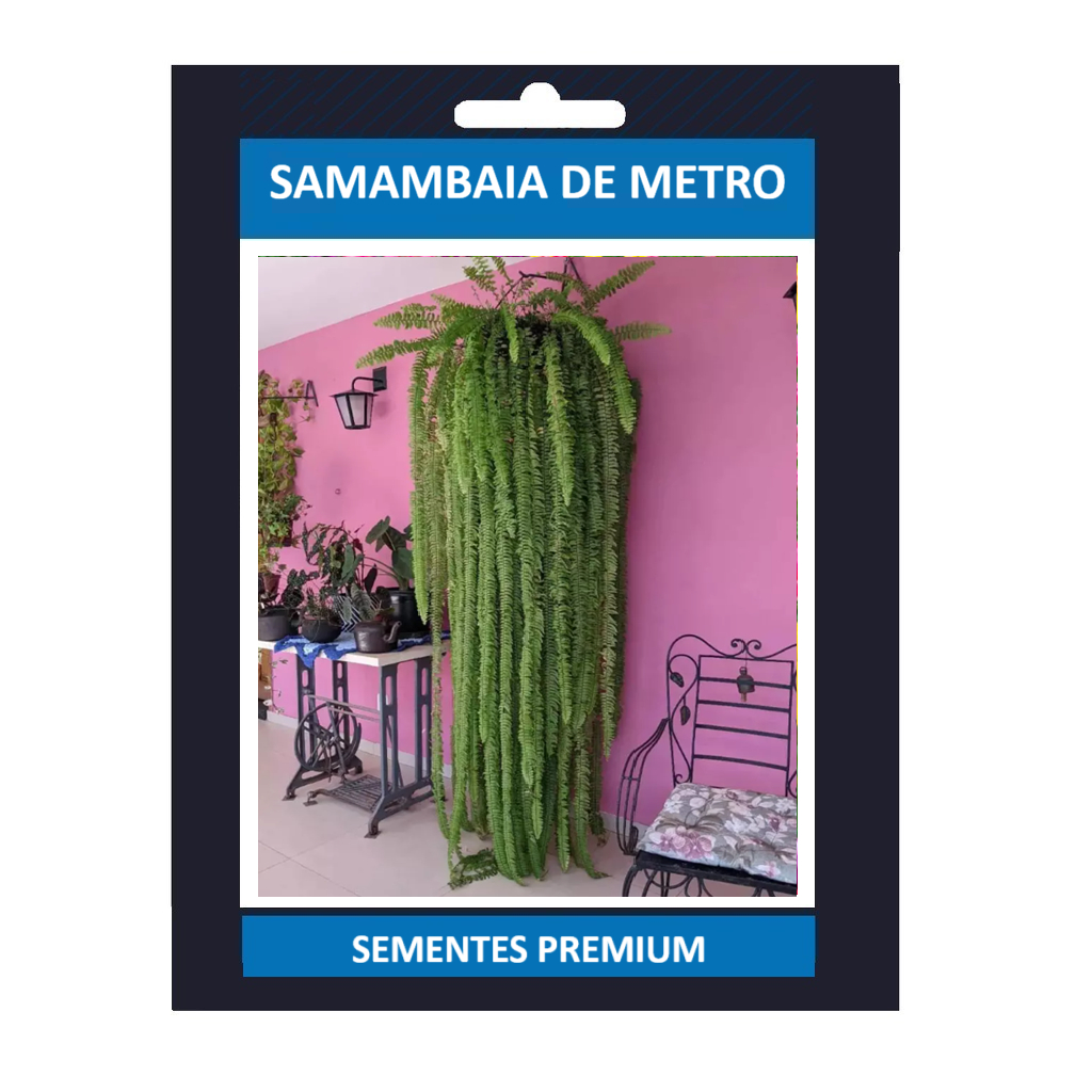 EXCLUSIVO 200 Sementes Samanbaia De Metro Premium EXCLUSIVO