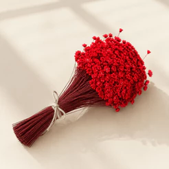 Flor Sempre Viva Vermelha Premium para Festas e Decoração – Buquê com 600 a 2400 Flores Secas Desidratadas