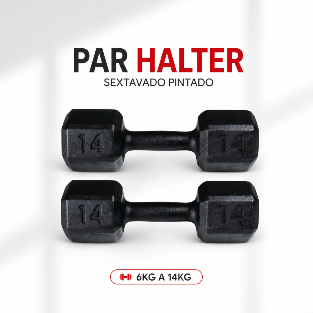 Par Halter Sextavado Pintado 6kg a 14kg | Academia Musculação Treino em Casa Crossfit