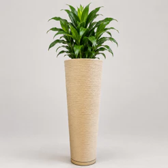 Vaso para Plantas Coluna Ibiza Escovada 71cm Com Prato Coletor incluso