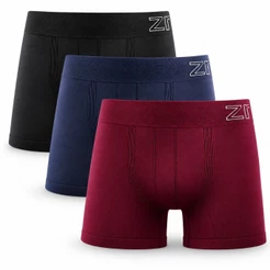 Kit 3 Cuecas Boxer Masculina Plus Size Zee Rucci Poliamida Sem Costura