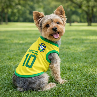 Roupinha Pet Brasil Camisa Copa do Mundo Nº10 Roupa para Cachorro e Gato Torcida em Oferta na Shopee