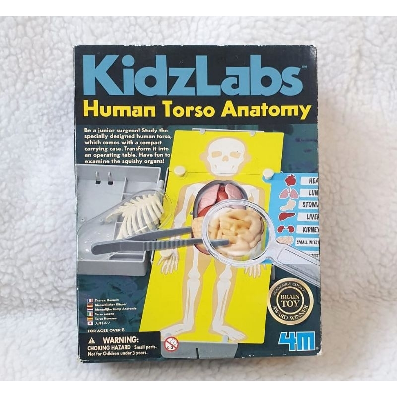 Brinquedo Educativo de anatomia KidzLabs importado e completo