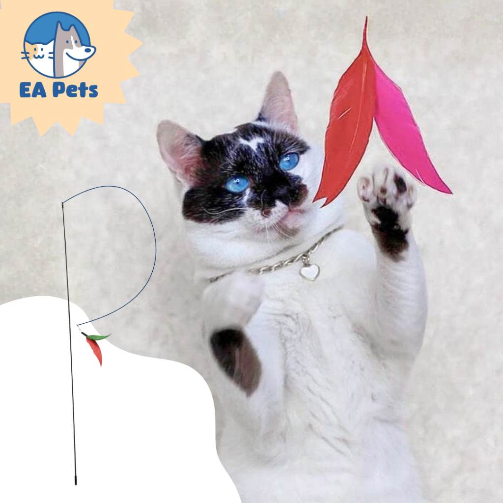 Varinha De 1m da Pet Games Flying Cat + 3 Iscas Penadas Brinquedo Super Interativo Para Gato em Oferta na Shopee