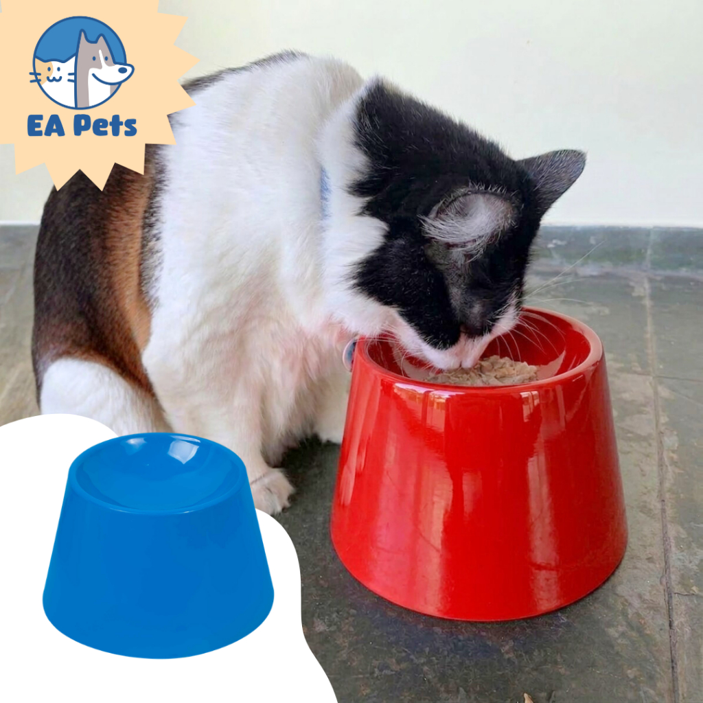 Comedouro Funcional Da Pet Games Alto Elevado E Raso Cat Eat Para Gato Confortável E Saudável