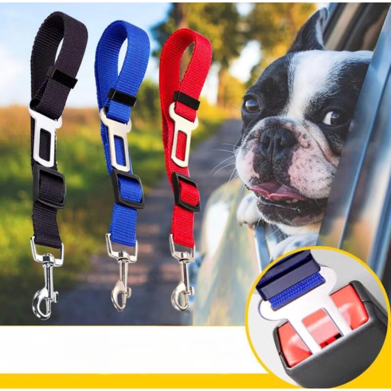 Cinto de Segurança para Pet – Básico , Ajustável, Para Cães e Gatos, Ideal para Viagens de Carro