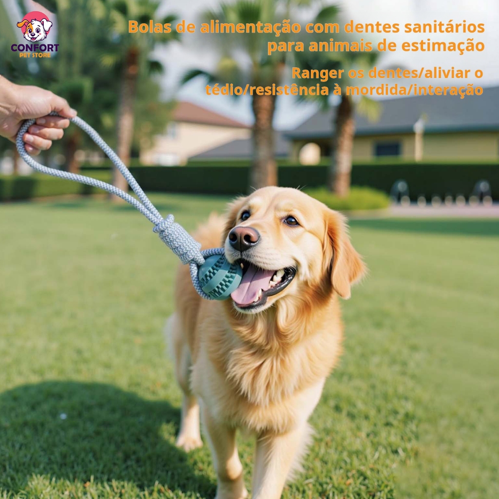 Brinquedos de puxar, brinquedos de bola, limpeza e cuidados dentários para cães