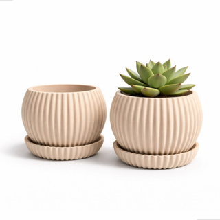 Vaso Suculenta Com Prato Decorativo para Plantas Naturais Moderno Pequeno Minimalista em Oferta na Shopee