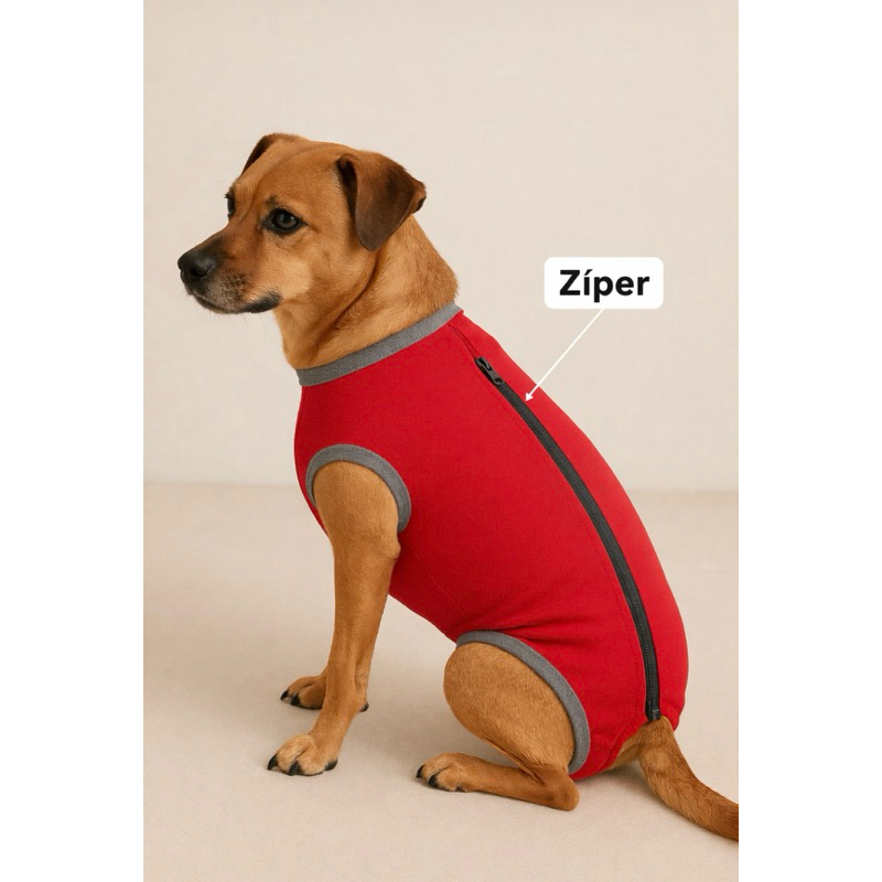 Roupa Pós Cirúrgica Com Zíper Fêmea Macho Castração
