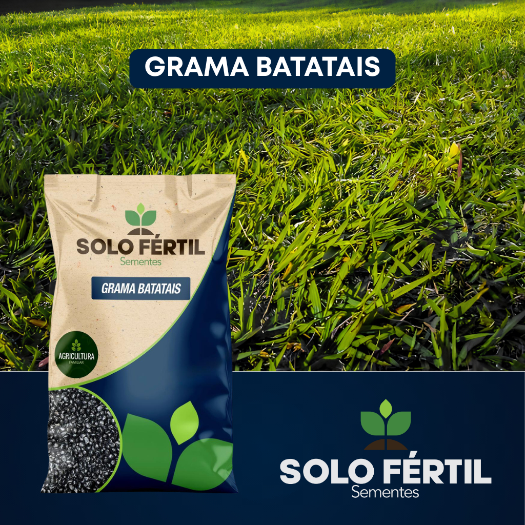 62.000 Sementes De Grama Batatais Para Plantio De (20m2)