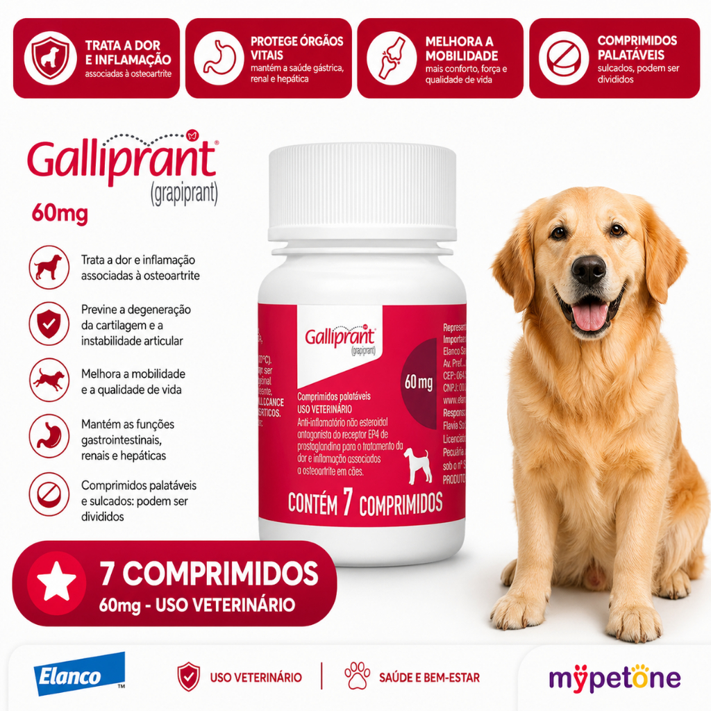 Galliprant 60 mg Elanco para Cães - 7 Comprimidos