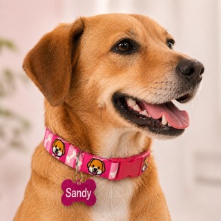 Coleira Para Cachorro Regulável com Pingente de Osso Pet Luxo Passeios Cães - Linha Aumig…