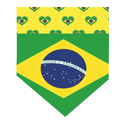 Bandana Pet Brasil Copa dupla face roupa- cachorro, gato