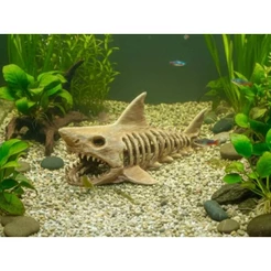 Decoração de Aquário com Fóssil de Tubarão