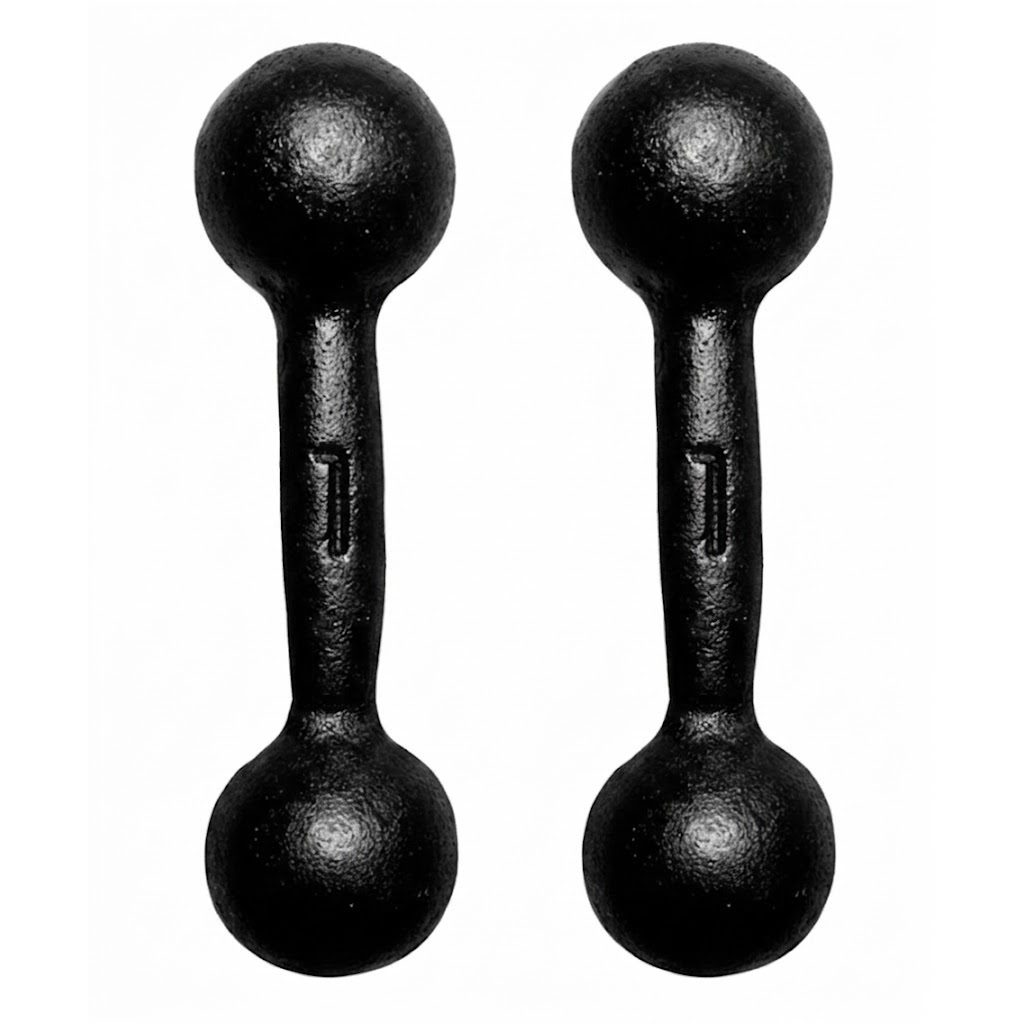 PAR 2 HALTERES BOLA 1KG TREINO FITNESS ACADEMIA GYM PINTADO RESISTENTE IDEAL PARA EXERCÍCIOS FUNCIONAIS